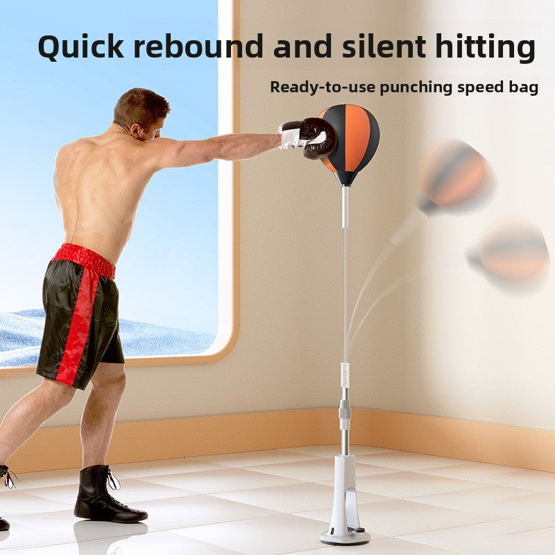 Boxing Training Equipment